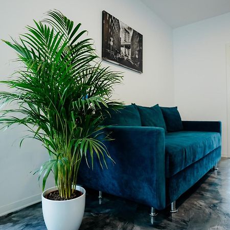 Andrew Apartaments Cluj-Napoca Eksteriør billede