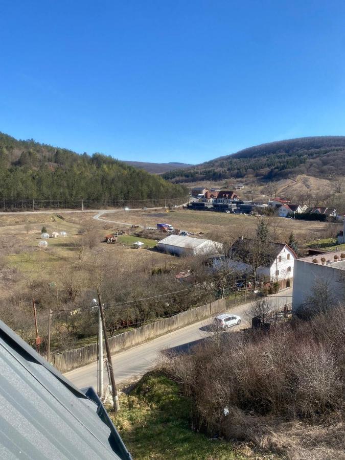 Andrew Apartaments Cluj-Napoca Eksteriør billede