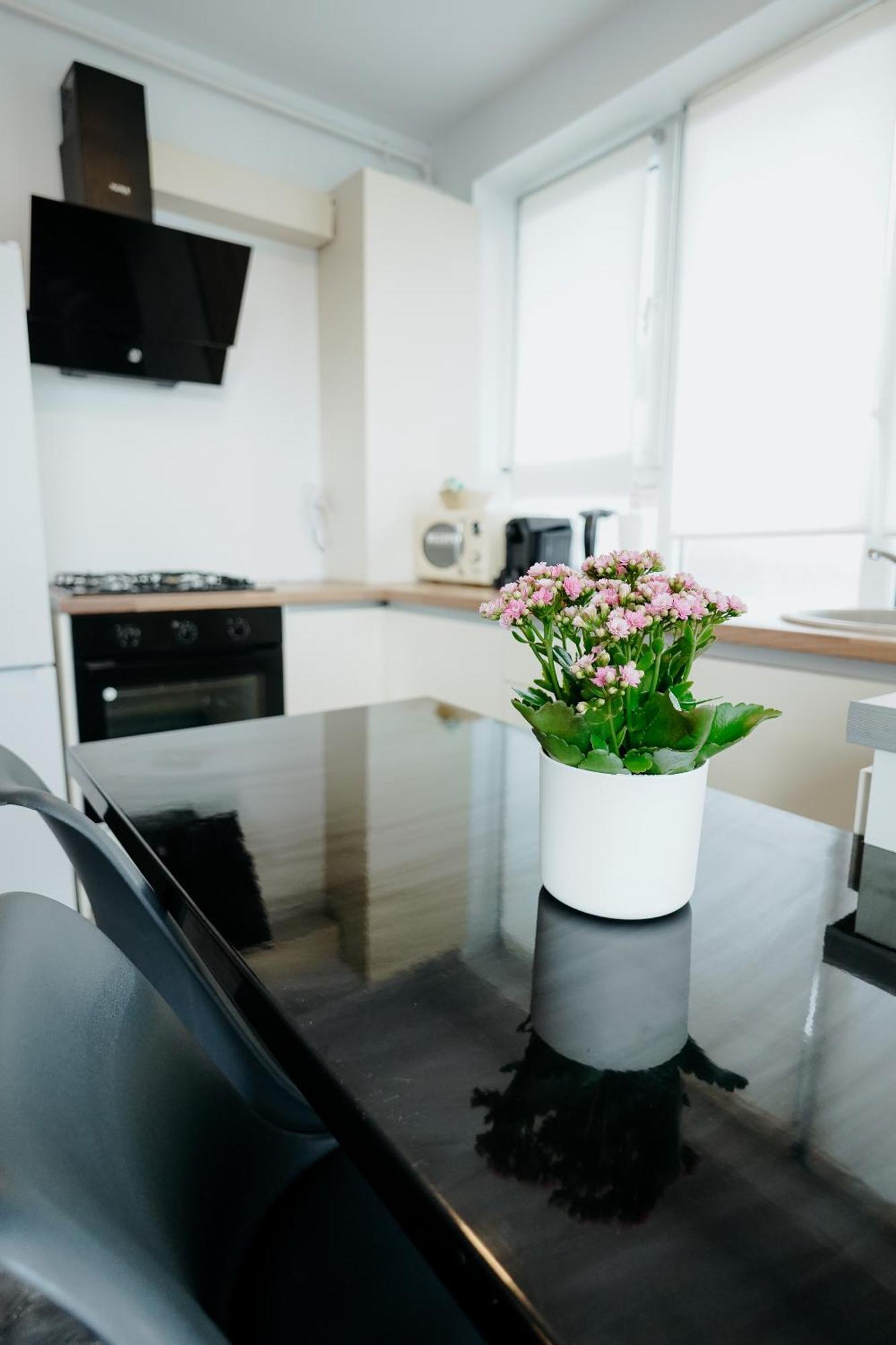 Andrew Apartaments Cluj-Napoca Eksteriør billede