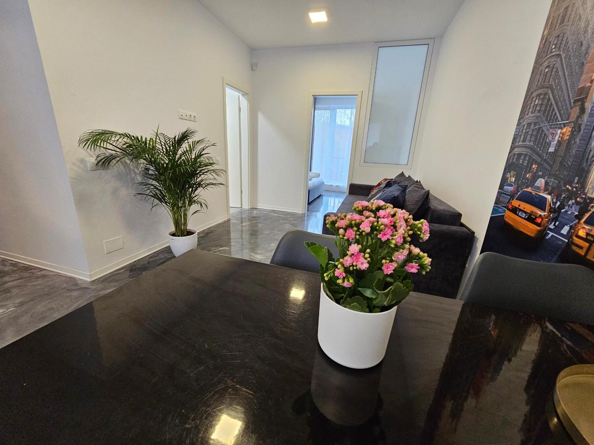 Andrew Apartaments Cluj-Napoca Eksteriør billede